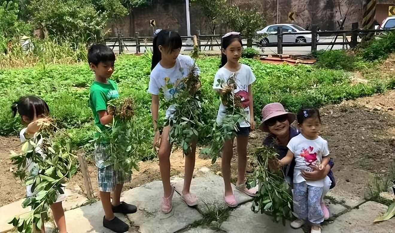 v站体育-大S女儿玥儿开通账号,用烟花缅怀母亲,小S和徐妈同时关注